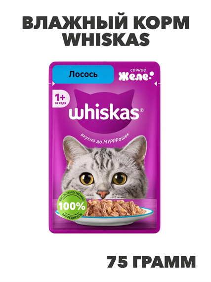 Влажный корм Whiskas 75 г для кошек желе с лососем, n4089-316115 n4089-316115