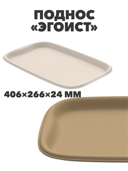 Поднос «Эгоист», 406×266×24 мм a30602129