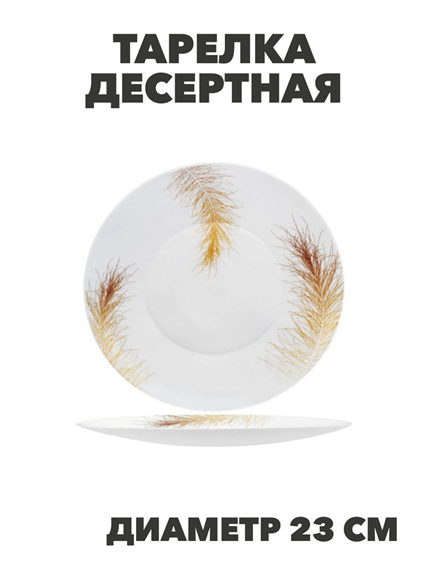 Тарелка обеденная Paulina d25,5см, y3060603222 y3060603222