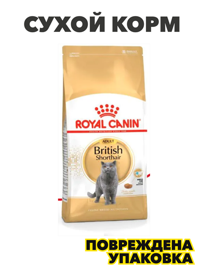 Сухой корм Royal Canin British Shorthair Adult для взрослых кошек британской короткошерстной породы, Птица, 4 кг, n4536-352752 n4536-352752