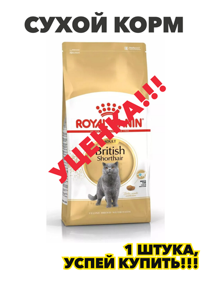 Сухой корм, Royal Canin British Shorthair Adult для британских короткошерстных кошек старше 12 месяцев, 2 кг, n4152-168770 n4152-168770