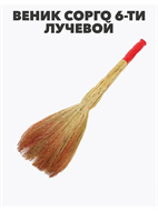 {{photo.Alt || photo.Description || 'Веник сорго 6-ти ЛУЧЕВОЙ утяжка проволокой ручка в пленке, m3030412488'}}