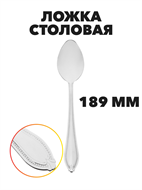 {{photo.Alt || photo.Description || 'Ложка Бристоль столовая, 18,9 см'}}