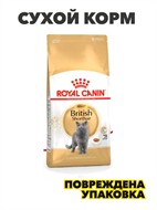 {{photo.Alt || photo.Description || 'Сухой корм Royal Canin British Shorthair Adult для взрослых кошек британской короткошерстной породы, Птица, 4 кг, n4536-352752'}}