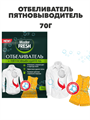 Отбеливатель пятновыводитель Master Fresh, 70гр, n4561-203040 n4561-203040
