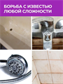 Wellroom Спрей-пена от налета и ржавчины Антиизвесть, 500 мл, n4083-194736 n4083-194736
