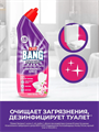 Cillit Bang Cила весны чистящее средство для унитаза от известкового налета, гель, 750 мл, n4138-141544 n4138-141544