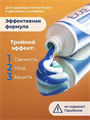 Зубная паста EХХЕ, Тройная защита tri-active 100гр, m2010302549 m2010302549