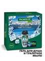 Набор подарочный мужской Palmolive Men Арктический Ветер и Северный океан: гель для душа 250мл, мыло. m2030101689 m2030101689