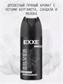 Дезодорант мужской EXXE SILVER, аэрозоль, 150 мл, n4580-113010 n4580-113010