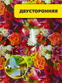 Термосалфетка PP двусторонняя 58*98 №3, m3060102543 2 m3060102543 2