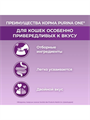 Влажный корм PURINA ONE для кошек особенно привередливых к вкусу, индейка и утка с морковью, 75г х 10 шт, n4448-160287 n4448-160287