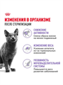 Сухой корм Royal Canin Sterilised для стерилизованных кошек и кастрированных котов, Птица, 1,2 кг, n4531-499415 n4531-499415