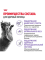Сухой корм Royal Canin Sterilised для стерилизованных кошек и кастрированных котов, Птица, 1,2 кг, n4531-499415 n4531-499415