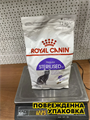 Сухой корм, Royal Canin Sterilised 37 сбалансированный для взрослых стерилизованных кошек всех пород в возрасте от 1 года до 7 лет, 1,2кг, n4155-168770 n4155-168770