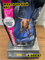 Сухой корм для собак Eukanuba Senior Large Breed 7+, для пожилых крупных пород, птица 4 кг, n4235-185096 n4235-185096